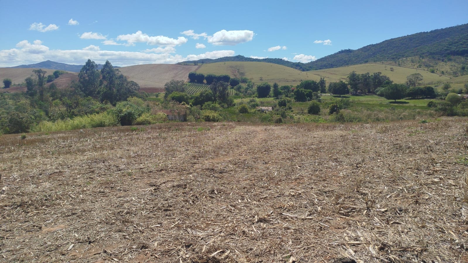 Fazenda de 96,17 hectares com terra de altíssima qualidade - Sul de Minas cod. 1212
