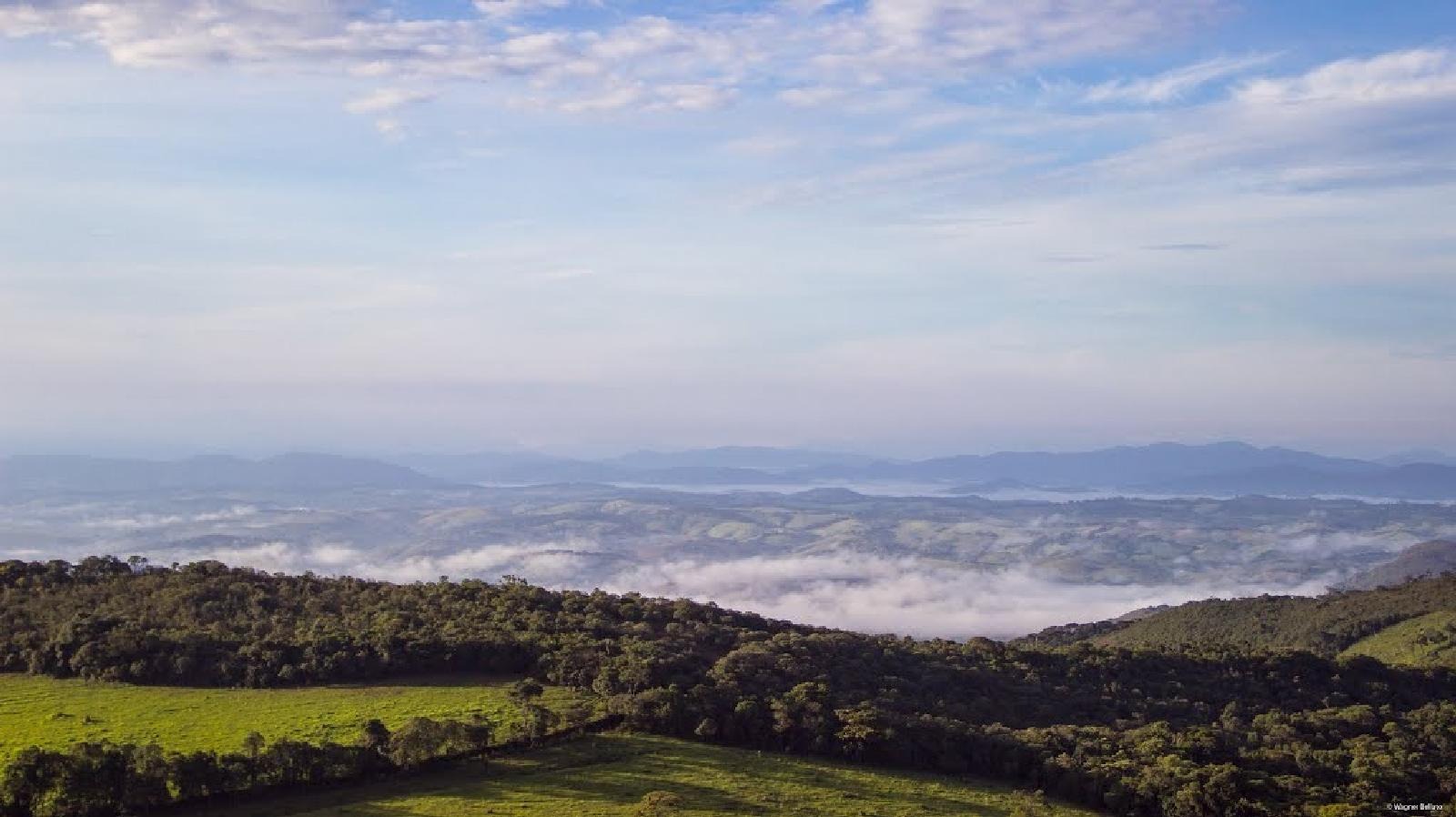 Fazenda de 96,17 hectares com terra de altíssima qualidade - Sul de Minas cod. 1212