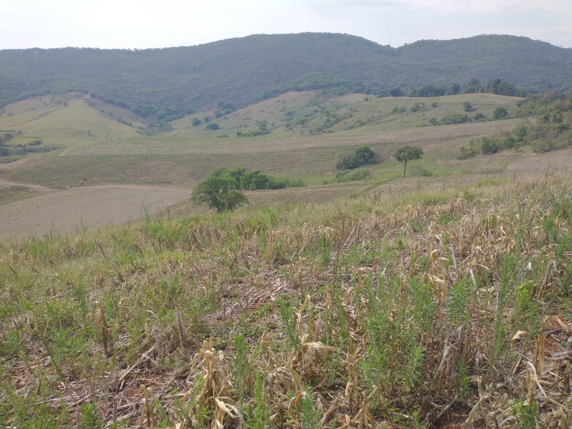 Fazenda de 96,17 hectares com terra de altíssima qualidade - Sul de Minas cod. 1212
