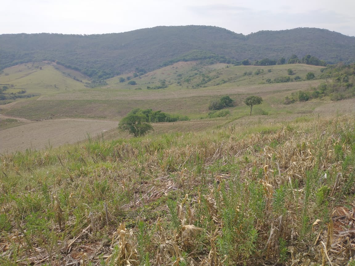 Fazenda de 96,17 hectares com terra de altíssima qualidade - Sul de Minas cod. 1212