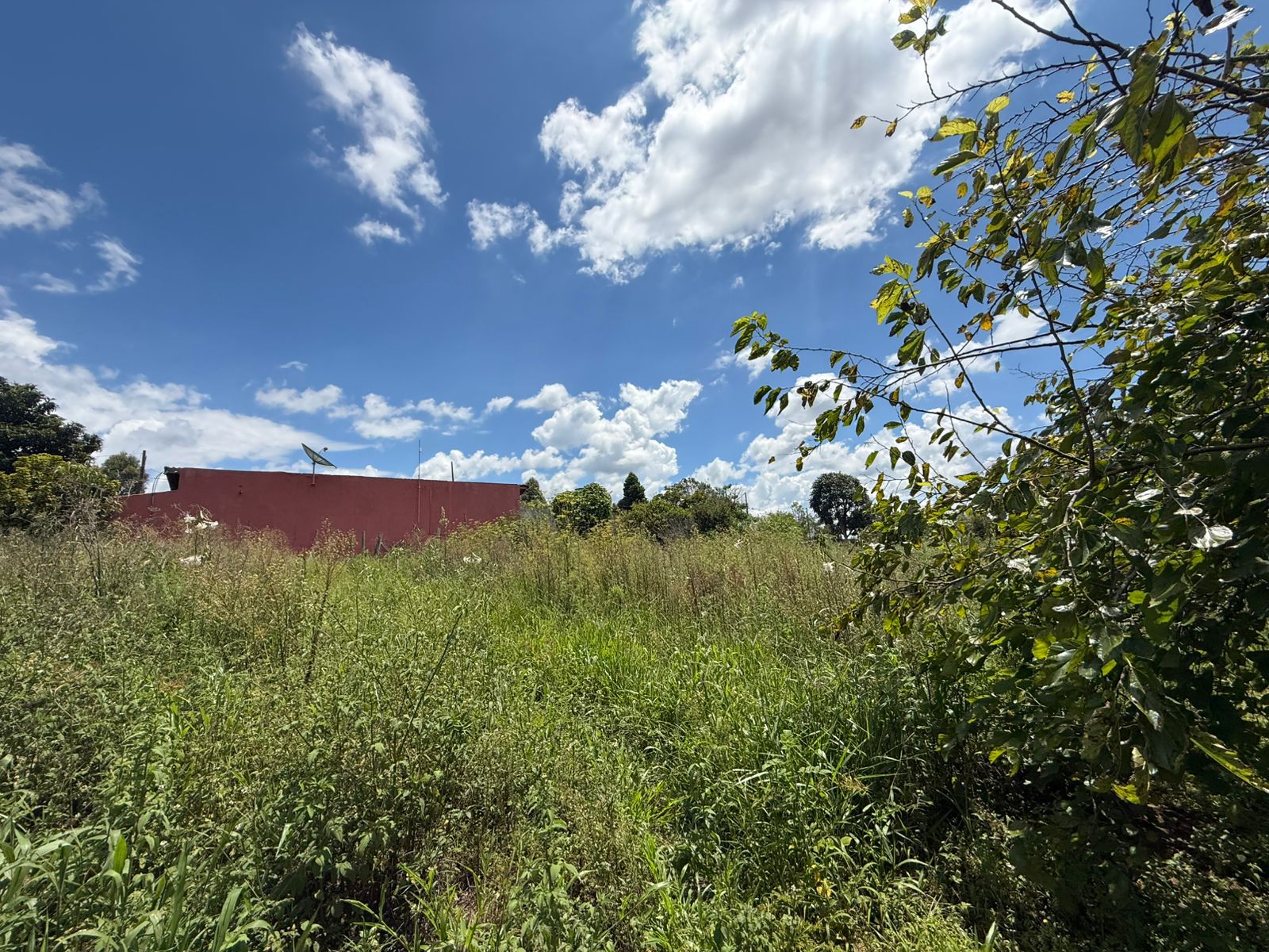 Chácara com Casa: Espaçosa e Adaptável em Munhoz - MG Cod.1220