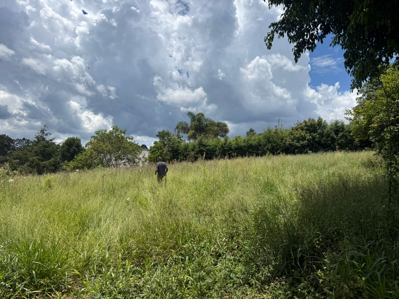 Chácara com Casa: Espaçosa e Adaptável em Munhoz - MG Cod.1220
