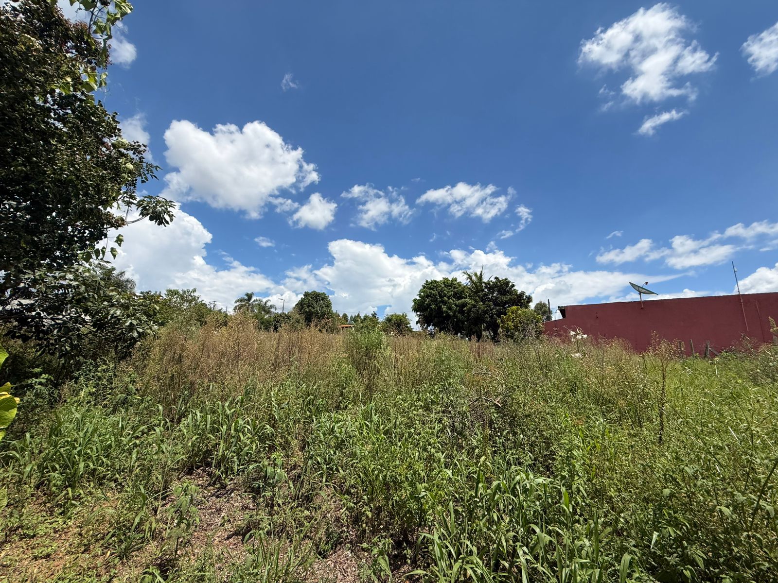 Chácara com Casa: Espaçosa e Adaptável em Munhoz - MG Cod.1220