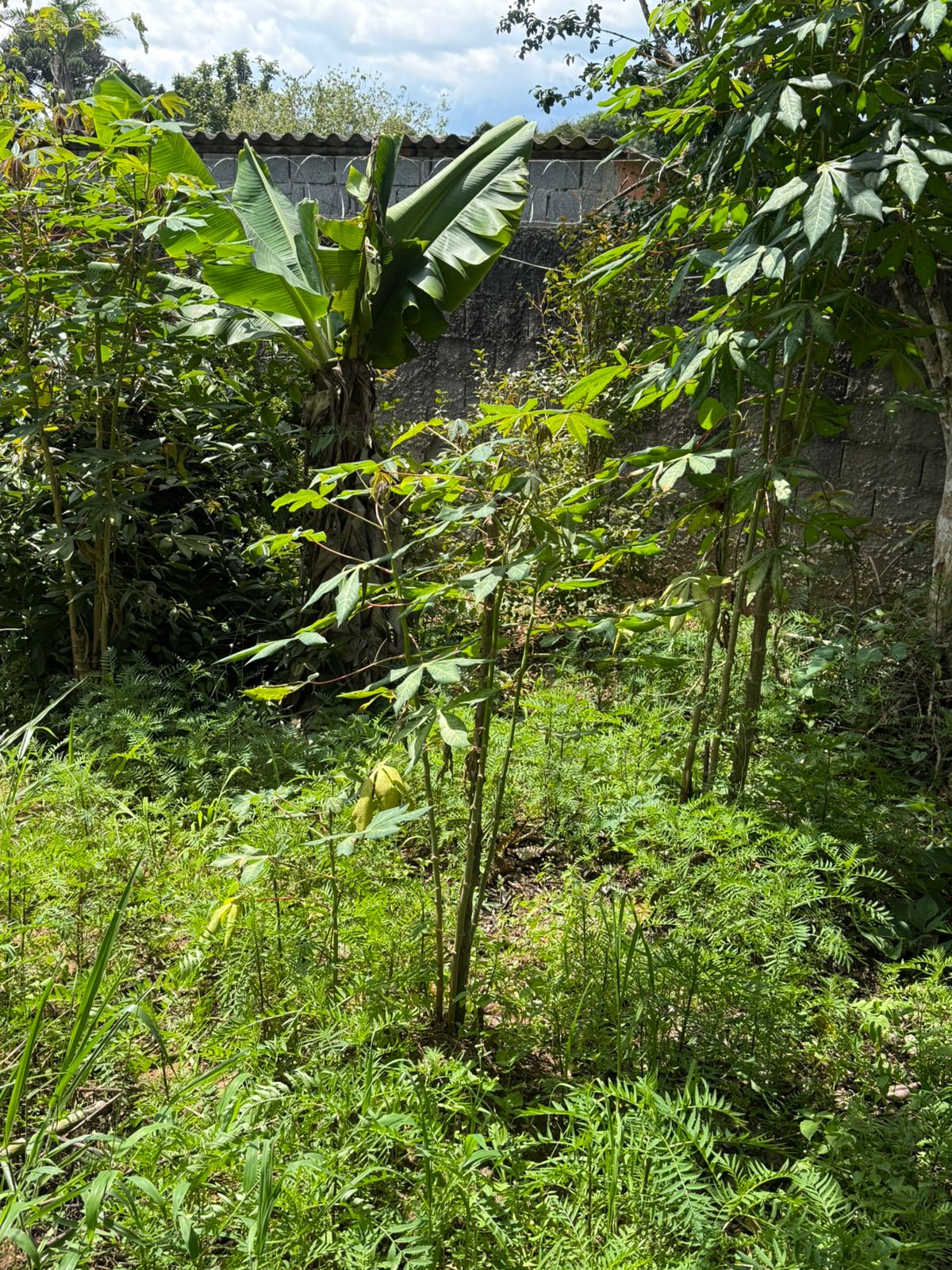 Chácara com Casa: Espaçosa e Adaptável em Munhoz - MG Cod.1220