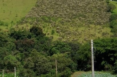 Terreno 2,7 hectares com Rio e Pasto em Camanducaia - Próximo à Rodovia 1224