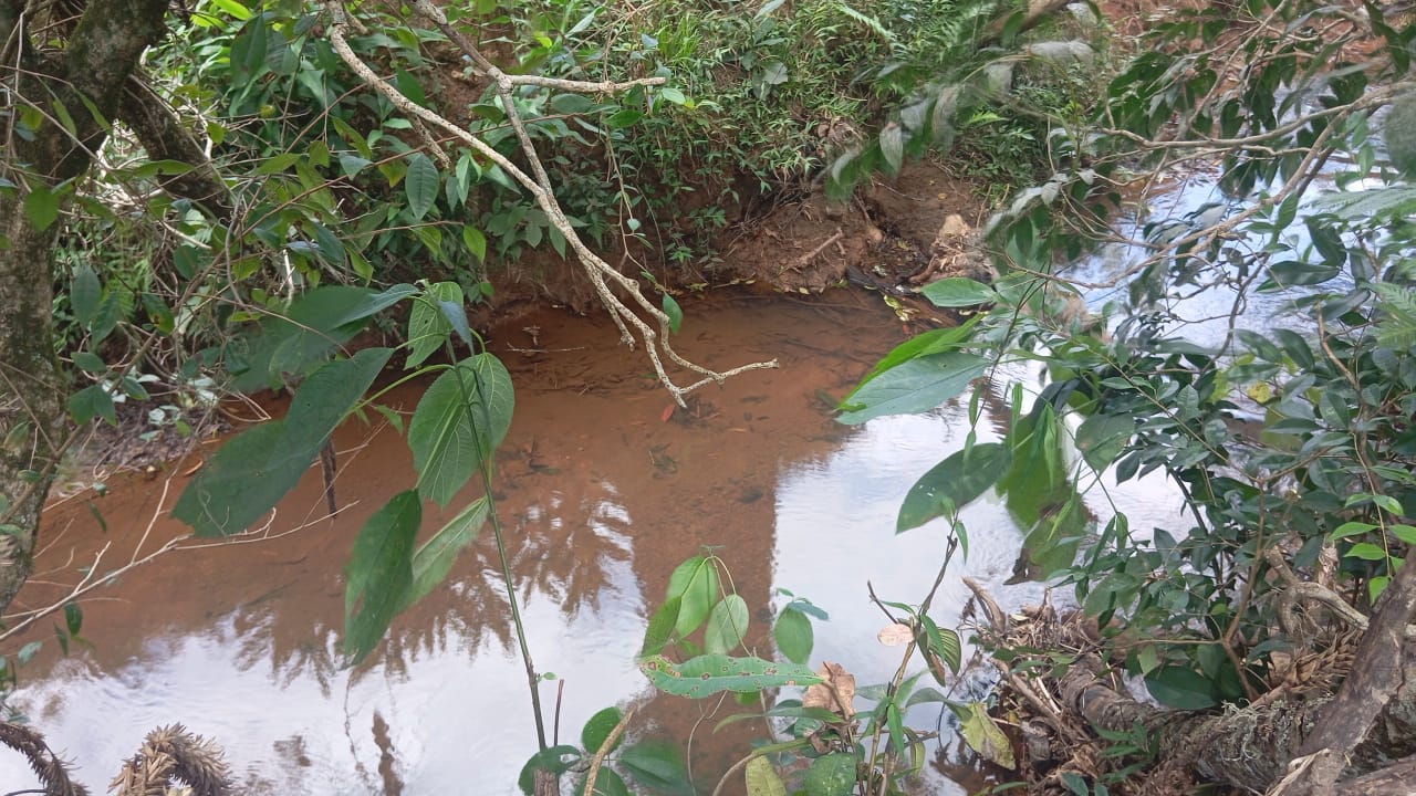 Terreno 2,7 hectares com Rio e Pasto em Camanducaia - Próximo à Rodovia 1224