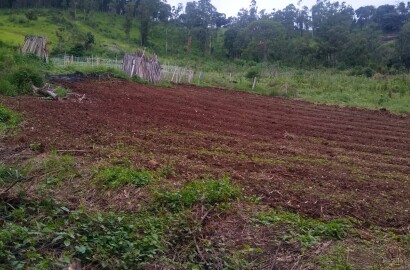 Terreno à venda em Toledo MG | Com Nascente e Fácil Acesso 1225