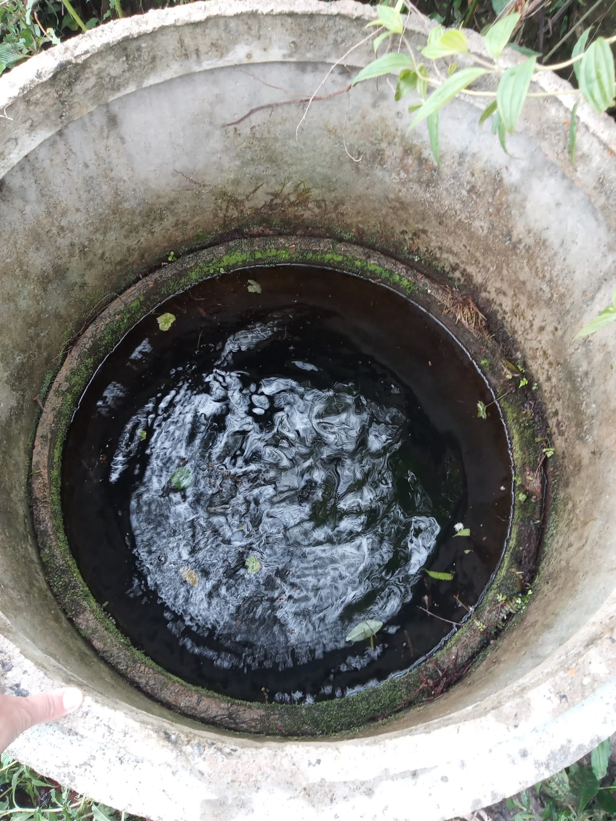 Terreno em Itapeva-MG com 26 mil metros excelente para sua casa de campo cod. 1226