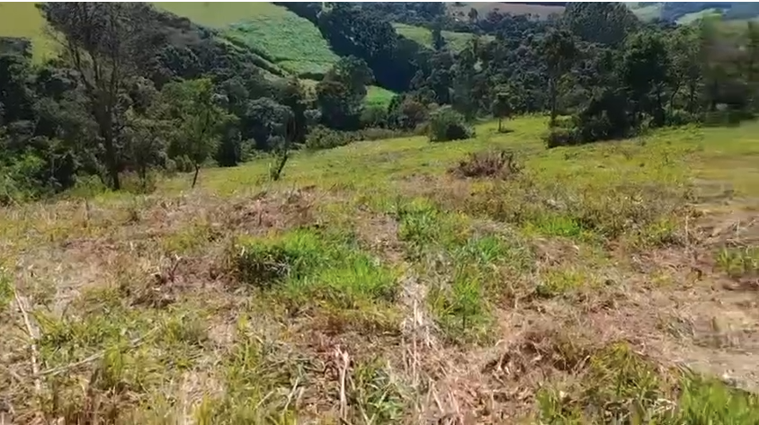 Terreno em Itapeva-MG com 26 mil metros excelente para sua casa de campo cod. 1226