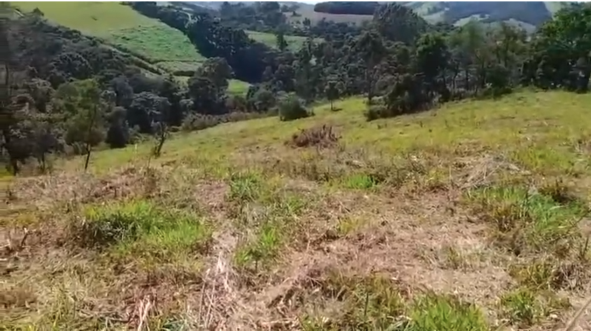 Terreno em Itapeva-MG com 26 mil metros excelente para sua casa de campo cod. 1226