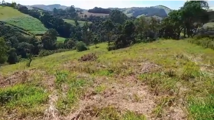 Terreno em Itapeva-MG com 26 mil metros excelente para sua casa de campo cod. 1226