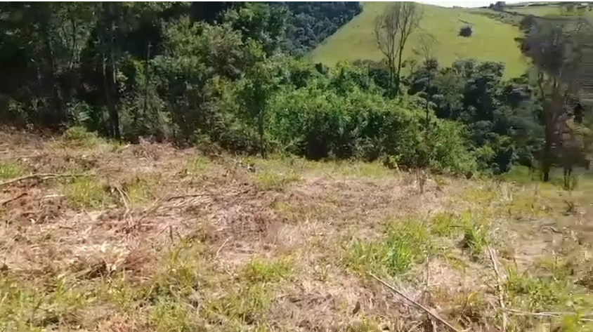 Terreno em Itapeva-MG com 26 mil metros excelente para sua casa de campo cod. 1226