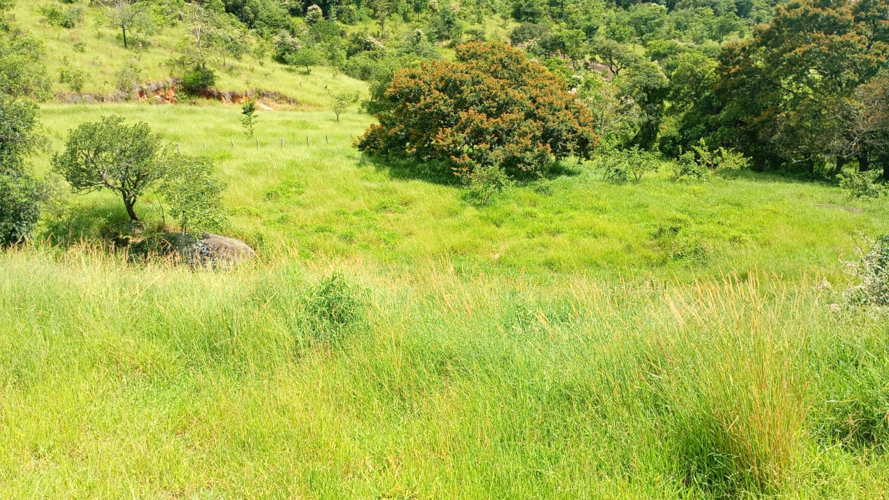 Chácara de Alto Padrão com Nascente em Extrema-MG. Casa com 4 quartos (1suite) cod.1227