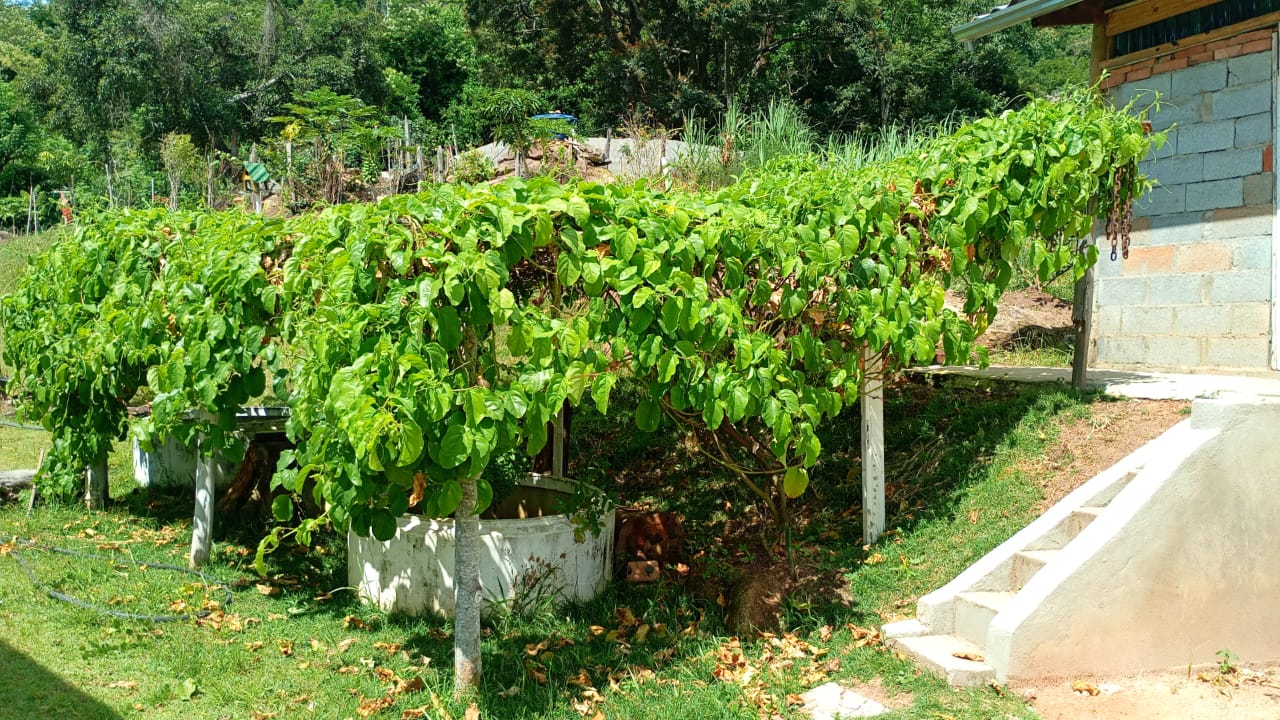 Chácara de Alto Padrão com Nascente em Extrema-MG. Casa com 4 quartos (1suite) cod.1227