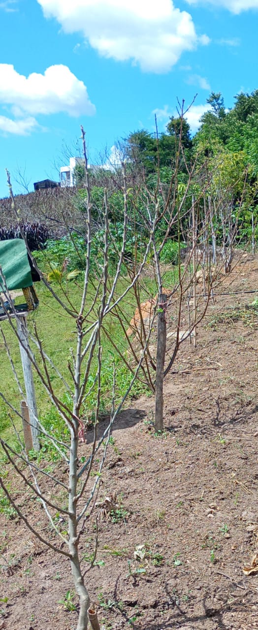 Chácara de Alto Padrão com Nascente em Extrema-MG. Casa com 4 quartos (1suite) cod.1227