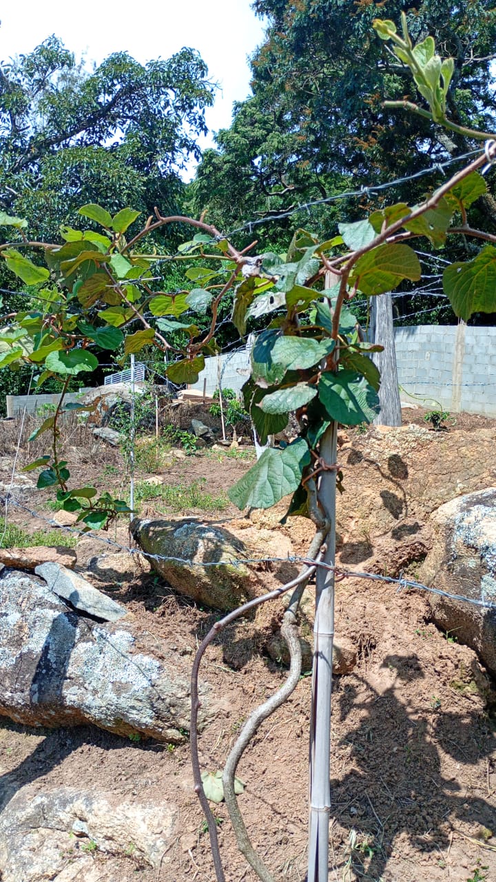 Chácara de Alto Padrão com Nascente em Extrema-MG. Casa com 4 quartos (1suite) cod.1227