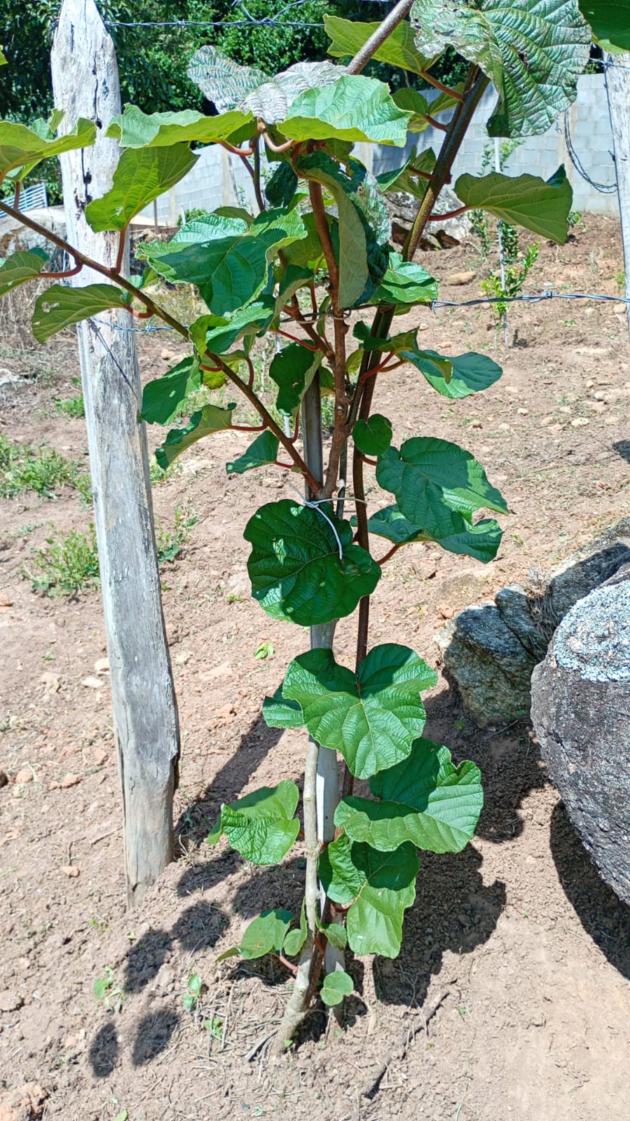Chácara de Alto Padrão com Nascente em Extrema-MG. Casa com 4 quartos (1suite) cod.1227