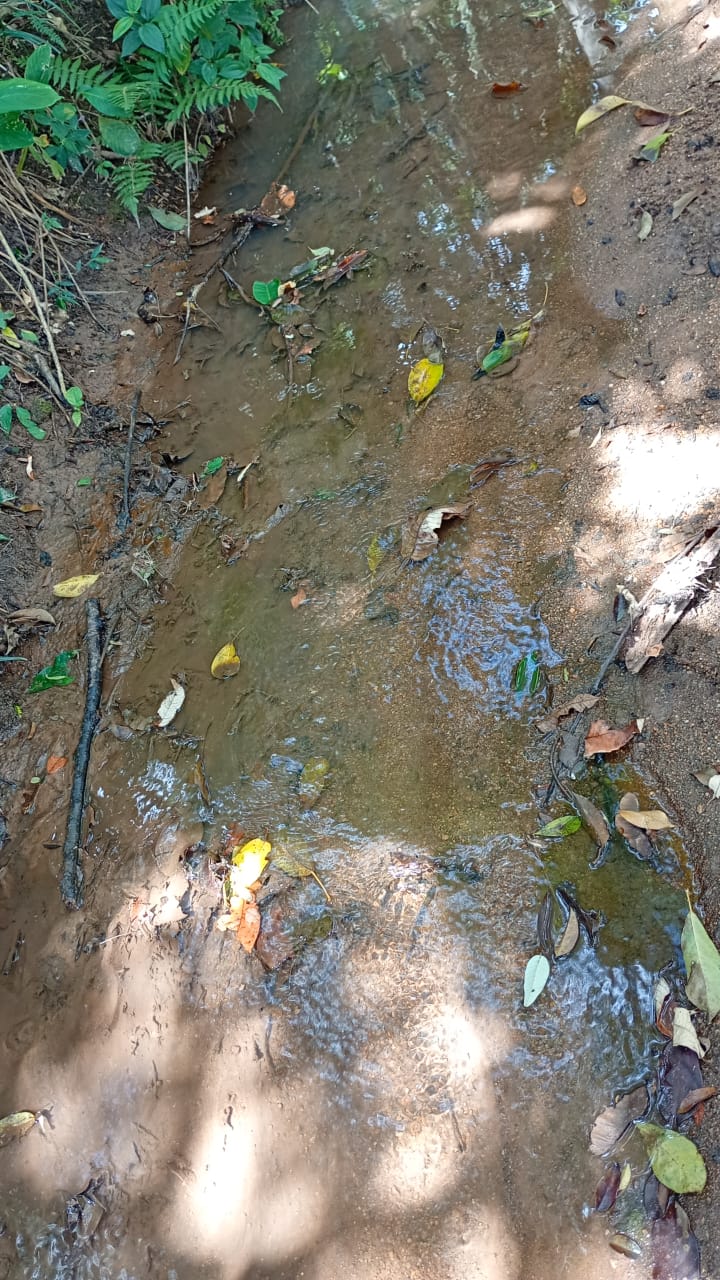 Chácara de Alto Padrão com Nascente em Extrema-MG. Casa com 4 quartos (1suite) cod.1227