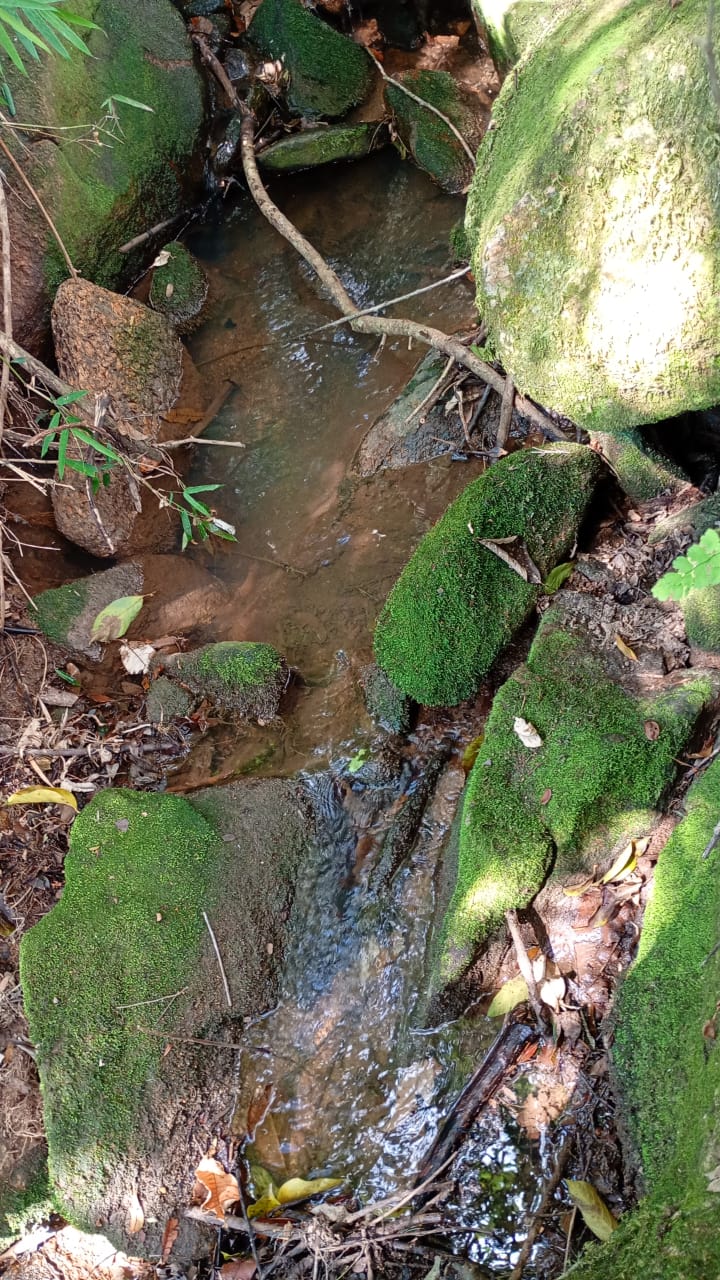 Chácara de Alto Padrão com Nascente em Extrema-MG. Casa com 4 quartos (1suite) cod.1227