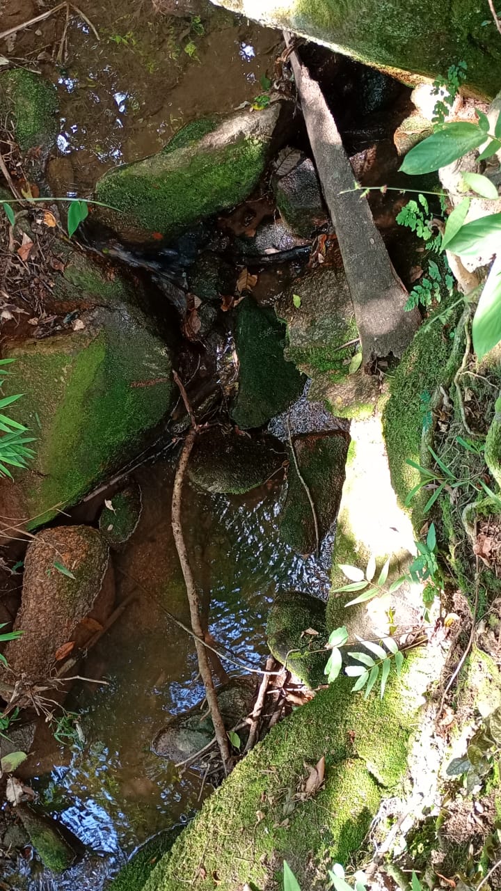 Chácara de Alto Padrão com Nascente em Extrema-MG. Casa com 4 quartos (1suite) cod.1227