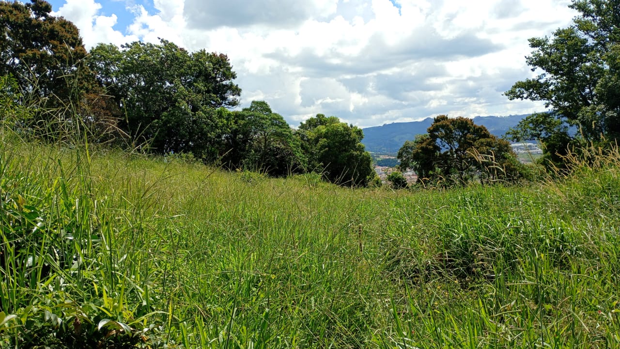 Chácara de Alto Padrão com Nascente em Extrema-MG. Casa com 4 quartos (1suite) cod.1227