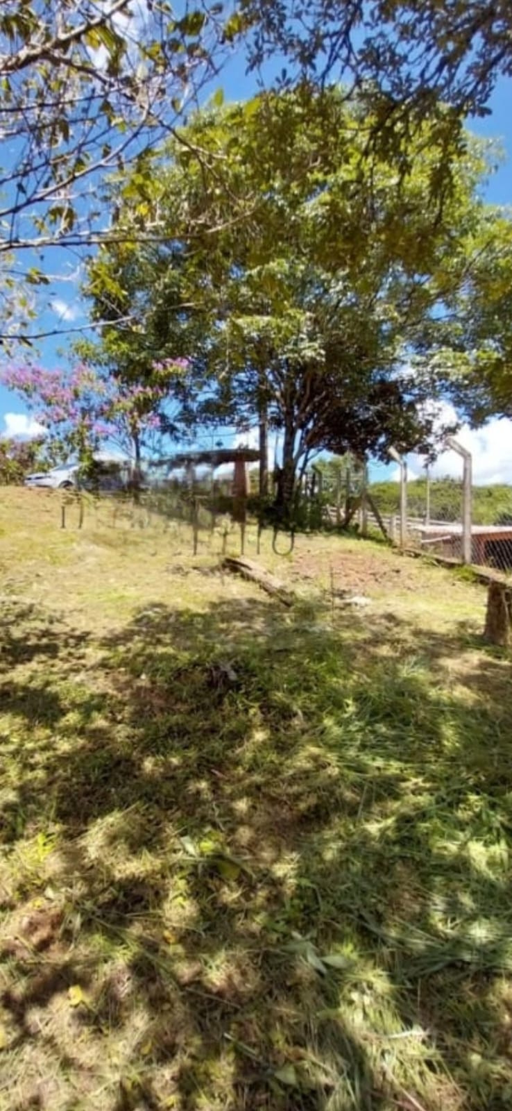 Chácara de 2.000m² com Casa Avarandada e Pomar Formado! Em Extrema-MG cod.1229