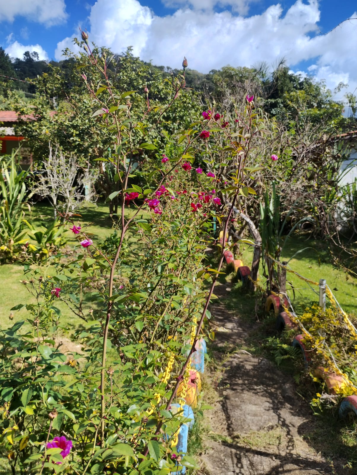 Chácara Completa à Venda em Camanducaia MG– Conforto, Lazer e Natureza em um Só Lugar - Código 1230