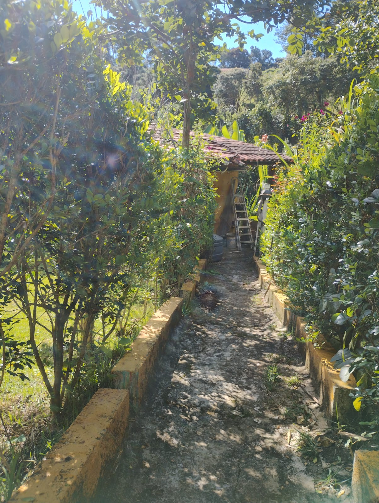 Chácara Completa à Venda em Camanducaia MG– Conforto, Lazer e Natureza em um Só Lugar - Código 1230