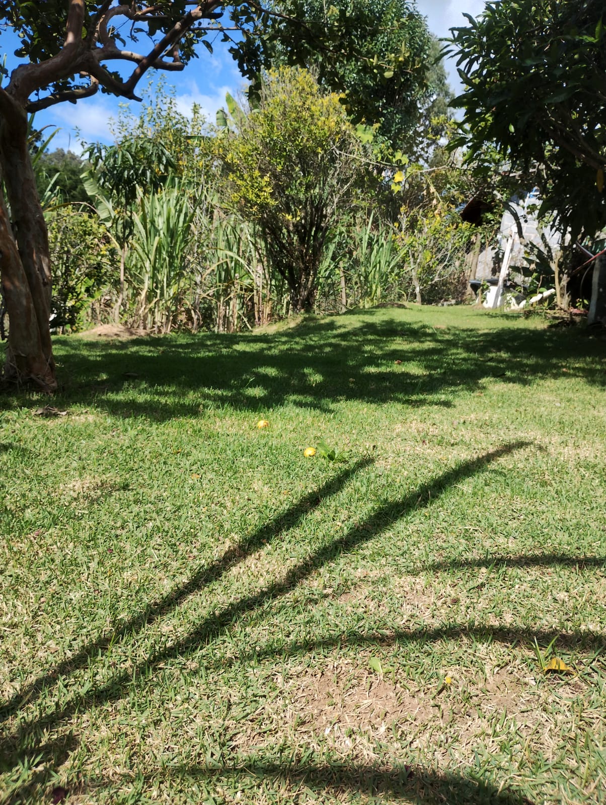 Chácara Completa à Venda em Camanducaia MG– Conforto, Lazer e Natureza em um Só Lugar - Código 1230
