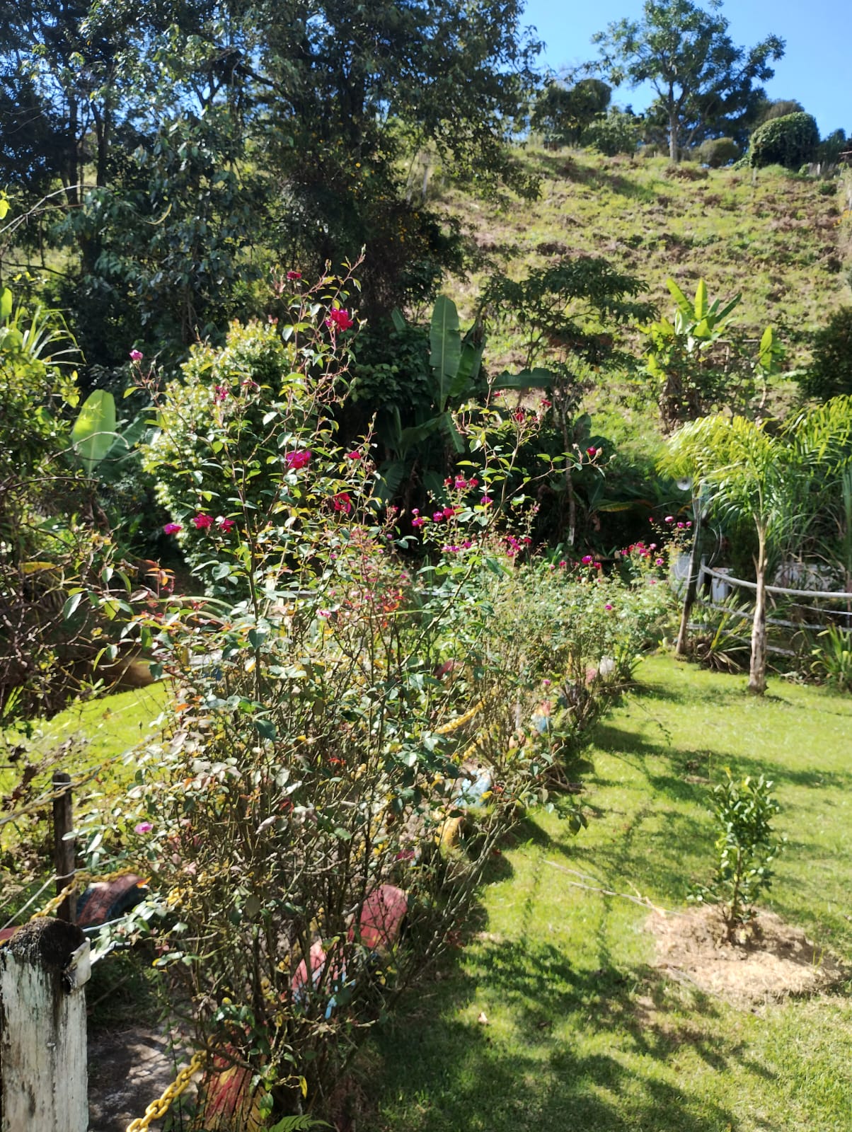Chácara Completa à Venda em Camanducaia MG– Conforto, Lazer e Natureza em um Só Lugar - Código 1230