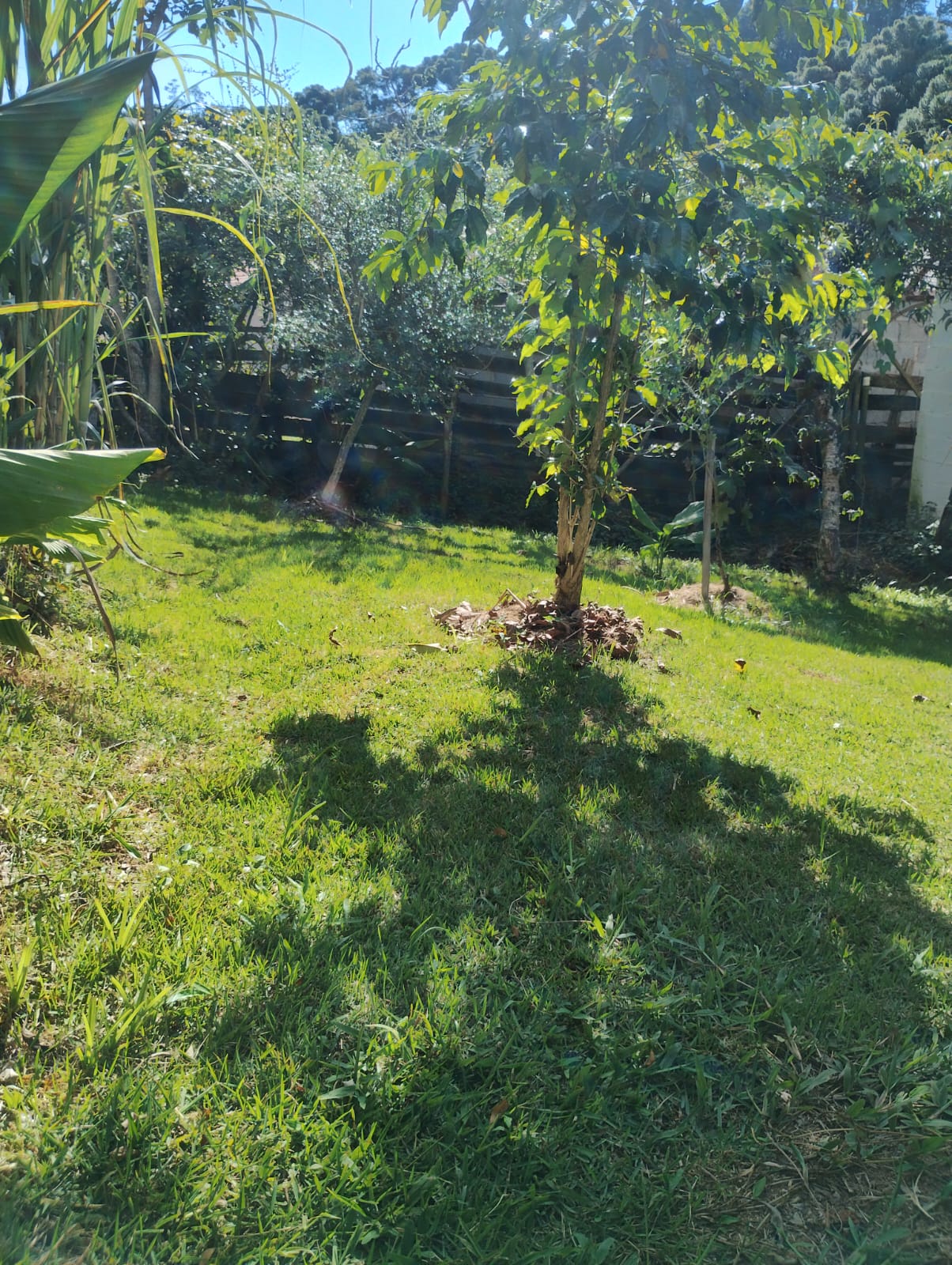 Chácara Completa à Venda em Camanducaia MG– Conforto, Lazer e Natureza em um Só Lugar - Código 1230