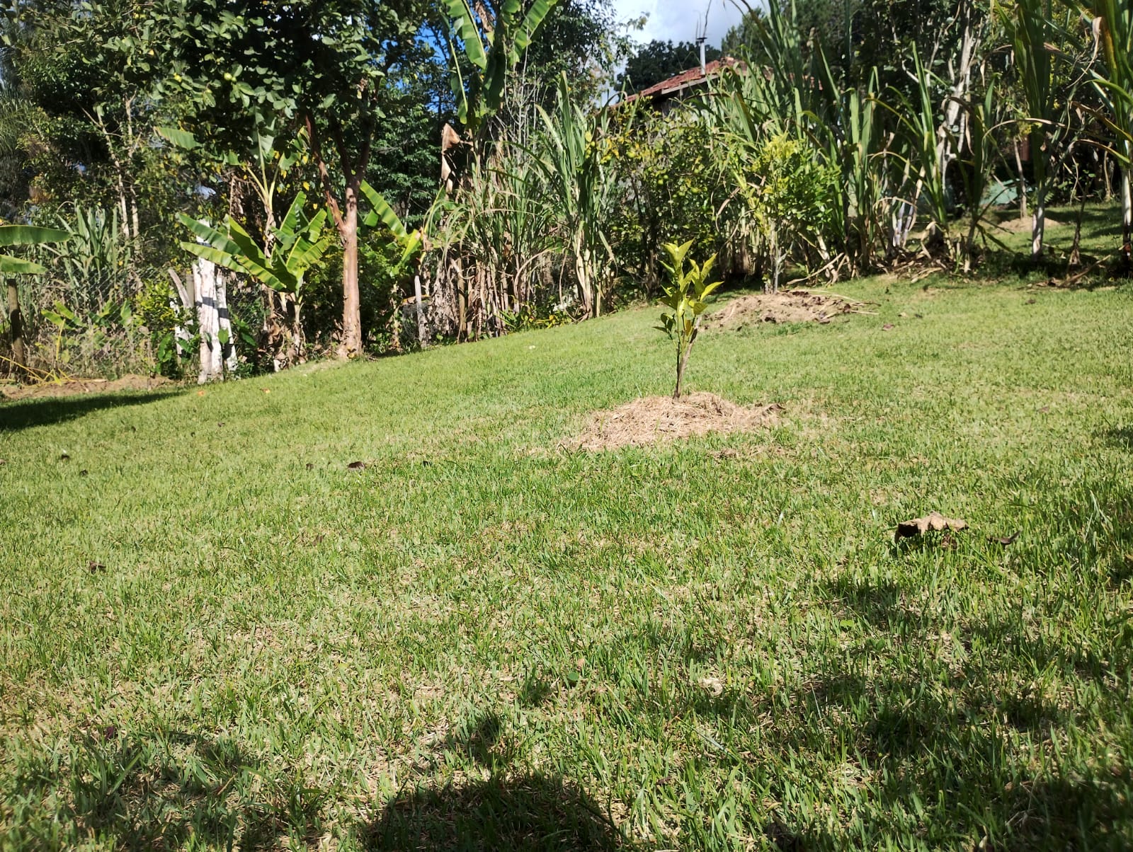 Chácara Completa à Venda em Camanducaia MG– Conforto, Lazer e Natureza em um Só Lugar - Código 1230