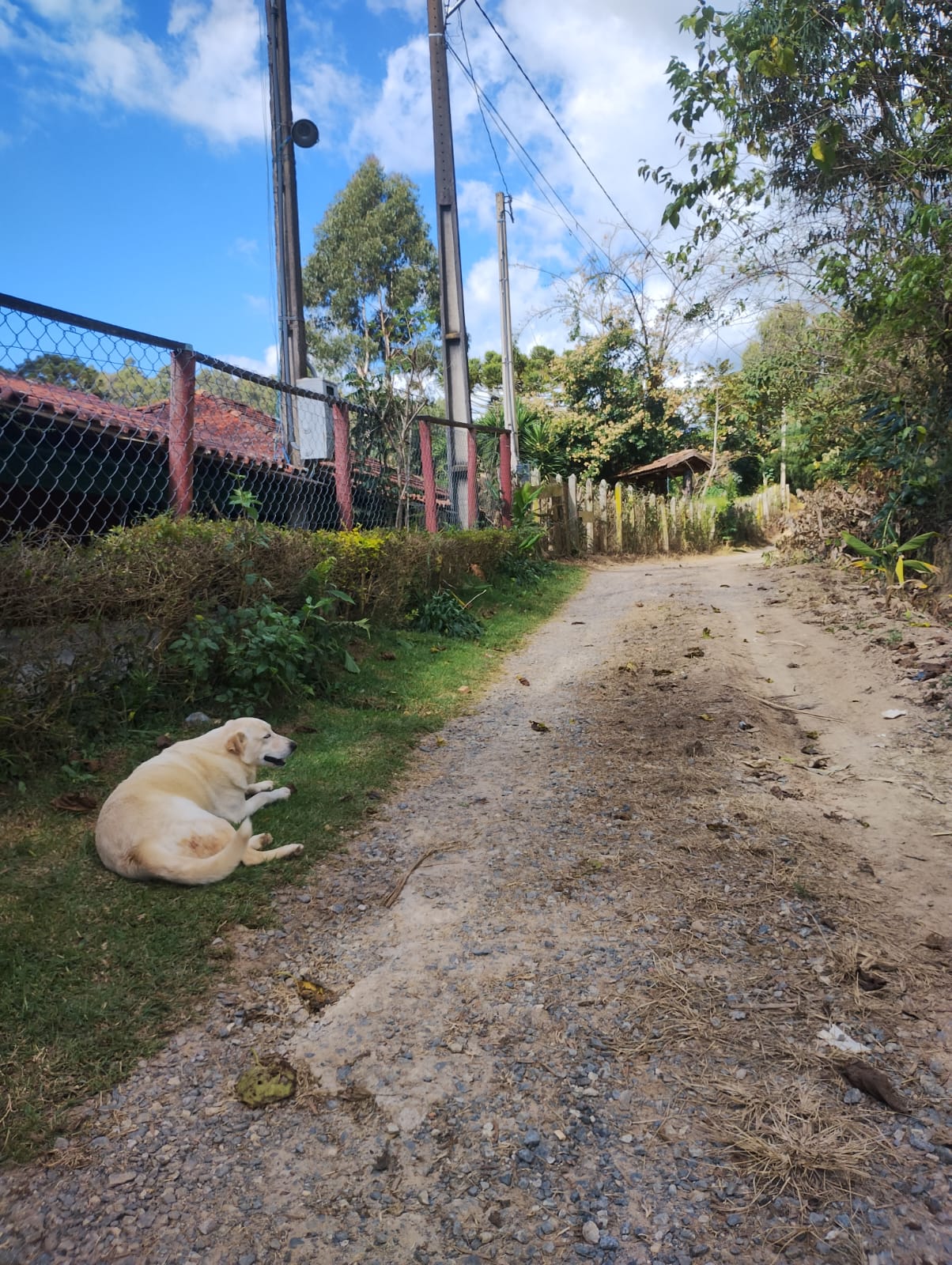 Chácara Completa à Venda em Camanducaia MG– Conforto, Lazer e Natureza em um Só Lugar - Código 1230