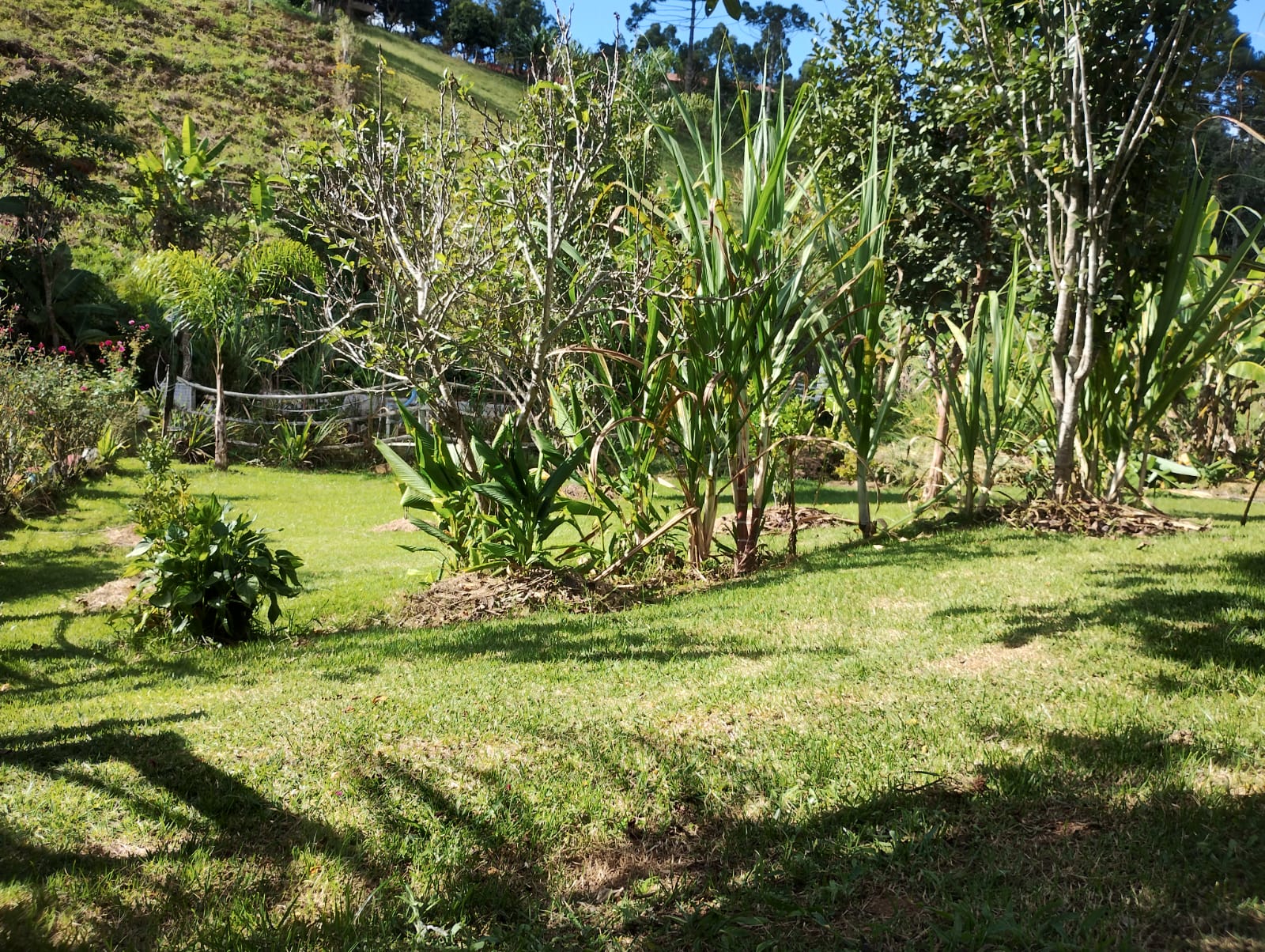 Chácara Completa à Venda em Camanducaia MG– Conforto, Lazer e Natureza em um Só Lugar - Código 1230