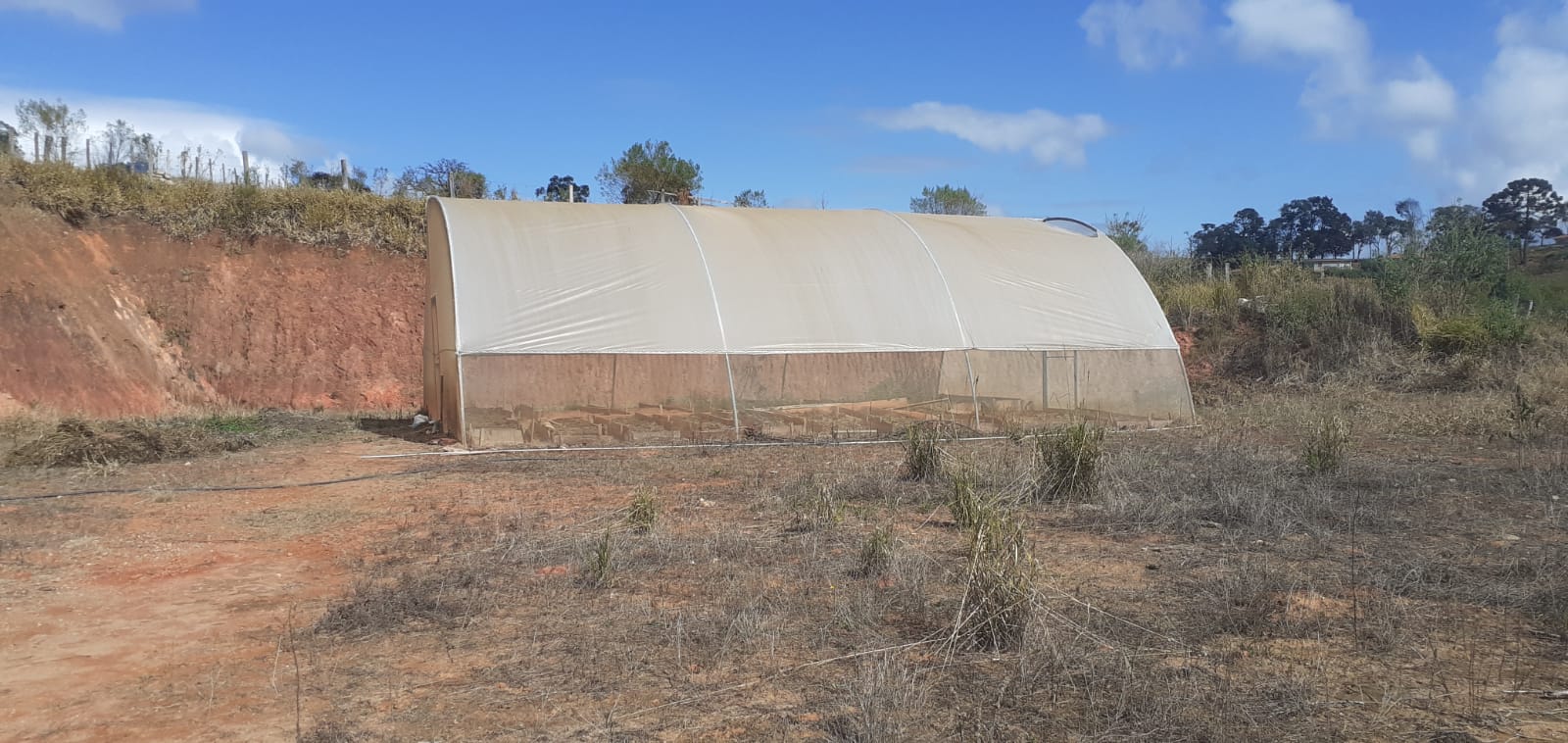 Sítio de Alto Padrão em Munhoz/MG - 100% Asfaltado e Estruturado cód. 1231