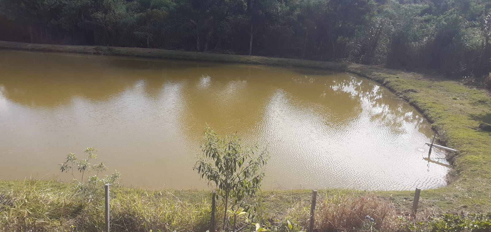 Sítio de Alto Padrão em Munhoz/MG - 100% Asfaltado e Estruturado cód. 1231