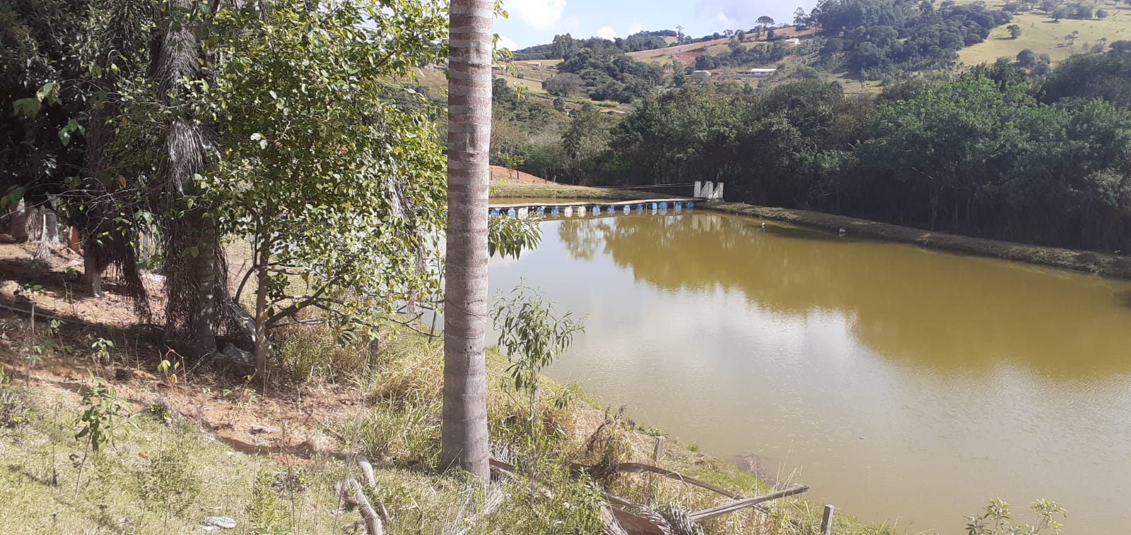 Sítio de Alto Padrão em Munhoz/MG - 100% Asfaltado e Estruturado cód. 1231