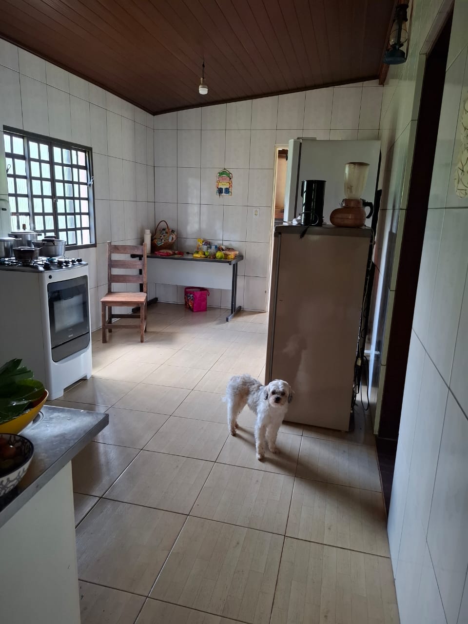 Chácara completa com casa de 4 dorms, sala gigante e área gourmet em Munhoz - MG cod. 1232