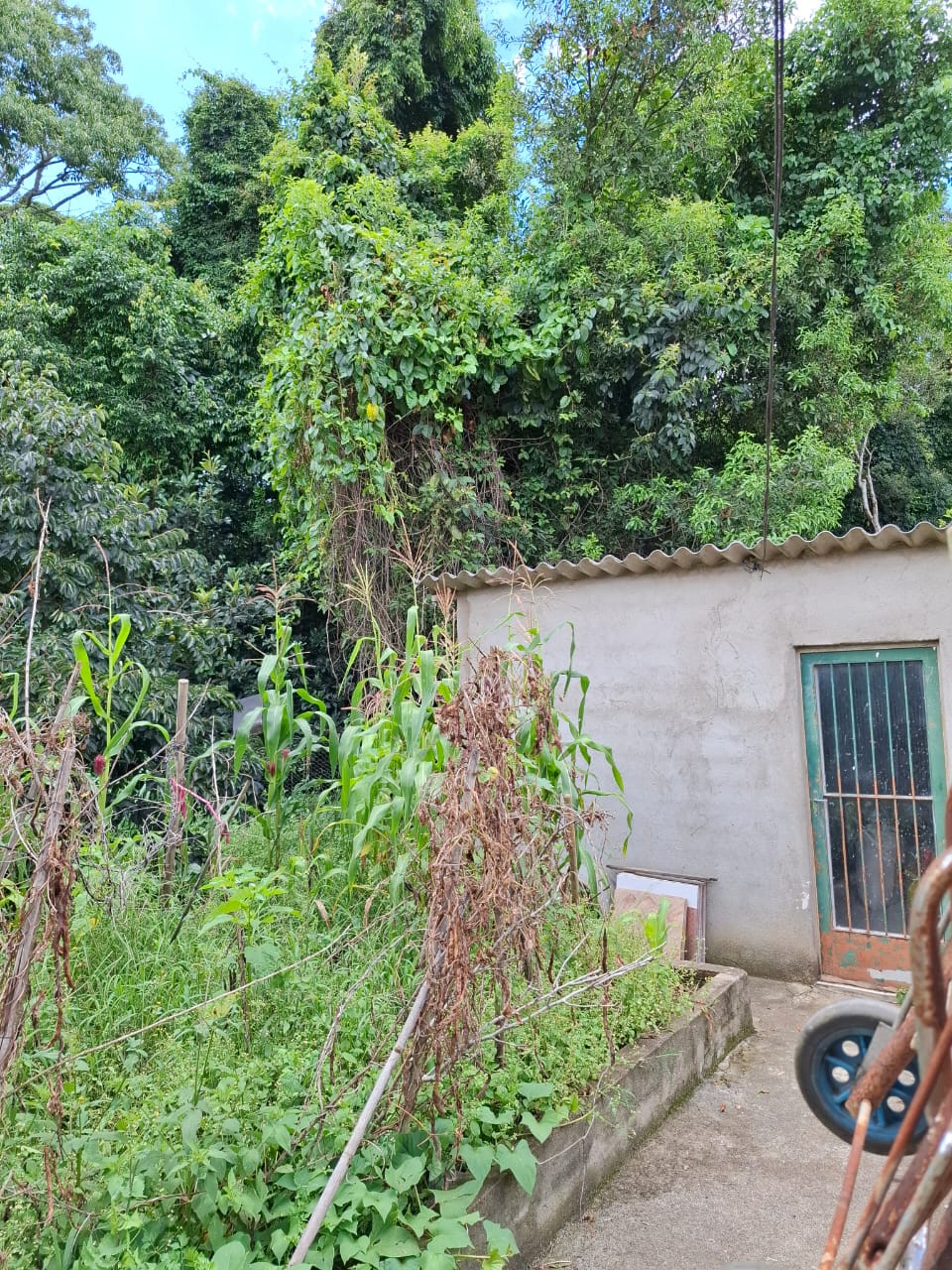 Chácara completa com casa de 4 dorms, sala gigante e área gourmet em Munhoz - MG cod. 1232
