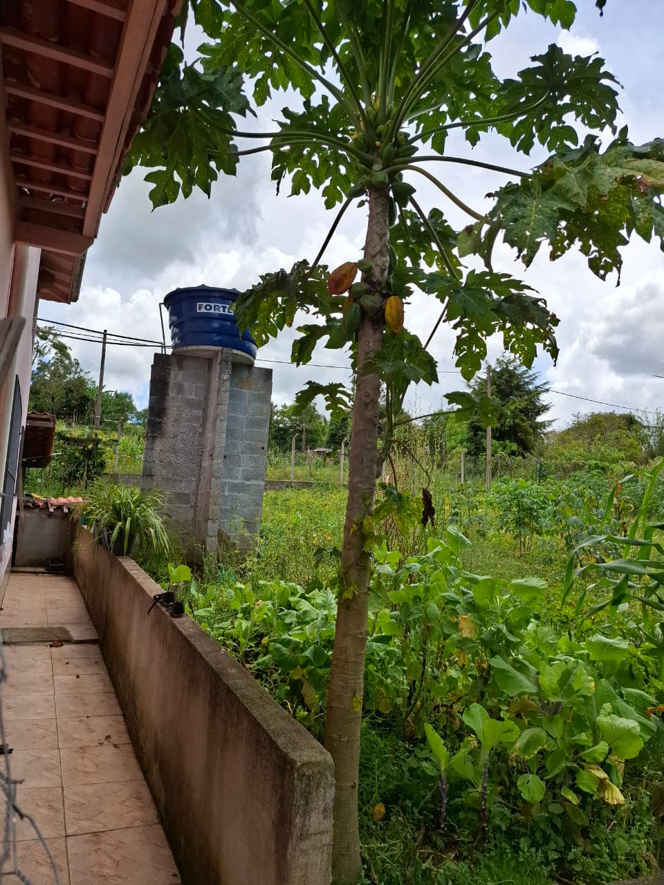 Chácara completa com casa de 4 dorms, sala gigante e área gourmet em Munhoz - MG cod. 1232