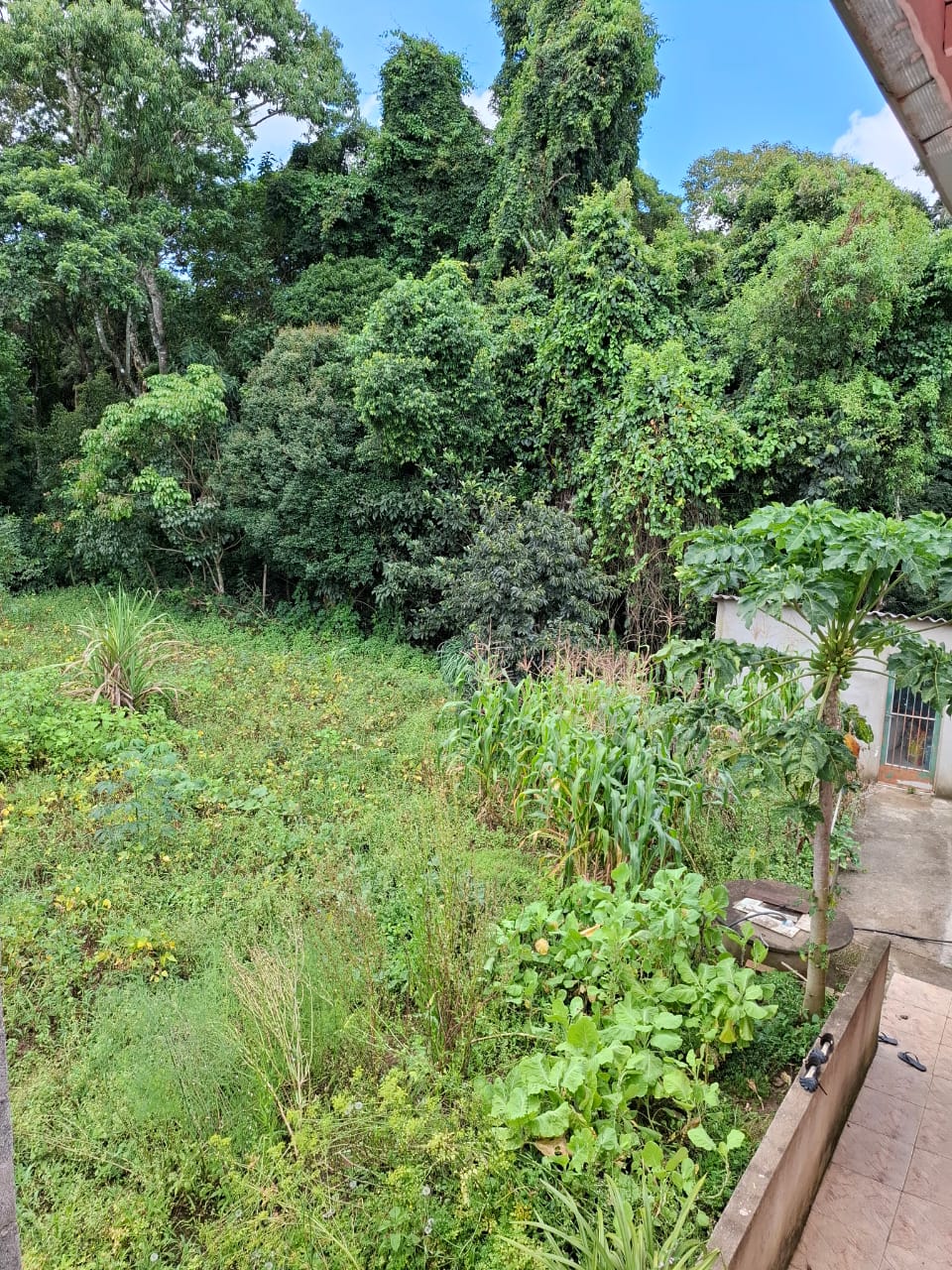 Chácara completa com casa de 4 dorms, sala gigante e área gourmet em Munhoz - MG cod. 1232
