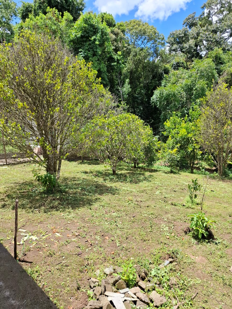 Chácara completa com casa de 4 dorms, sala gigante e área gourmet em Munhoz - MG cod. 1232