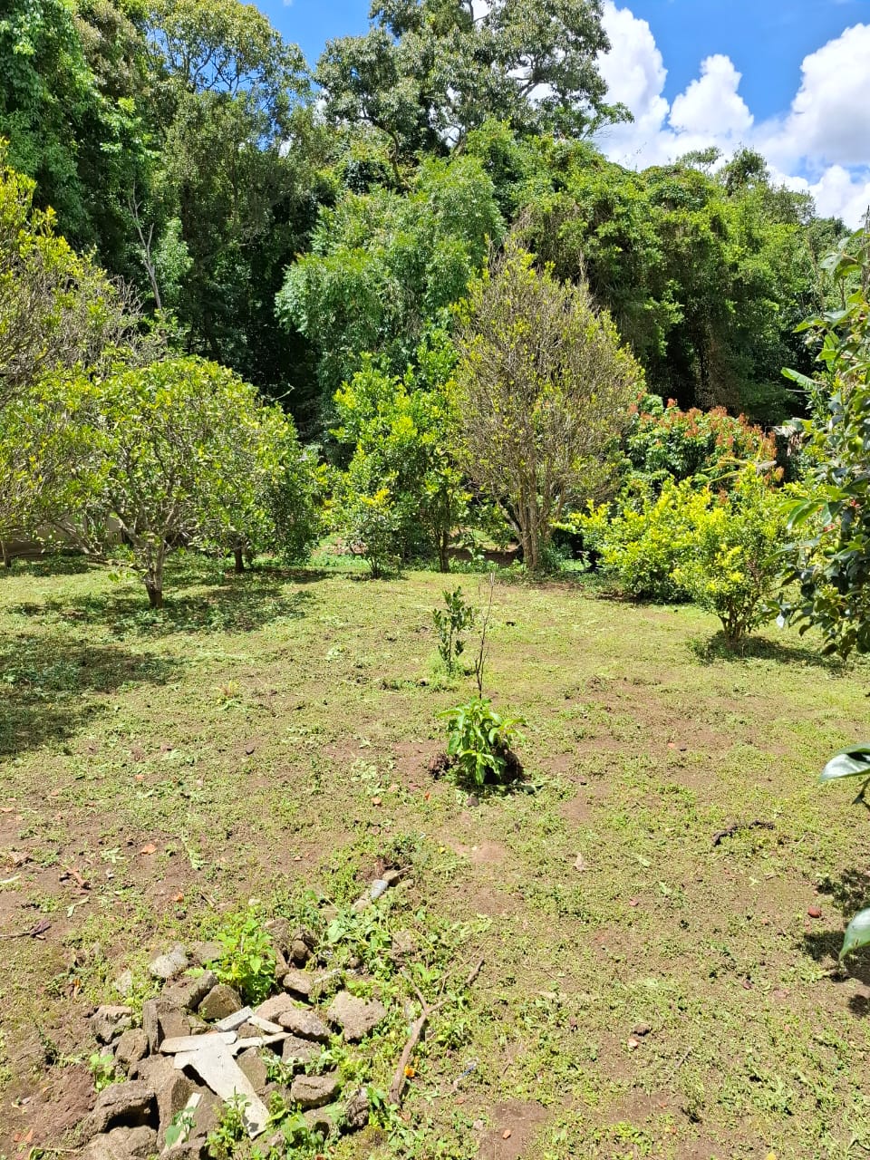 Chácara completa com casa de 4 dorms, sala gigante e área gourmet em Munhoz - MG cod. 1232