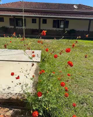 Sítio - Propriedade Completa, Pensada para Conforto e Experiências Inesquecíveis em Cambuí MG Cod.1237