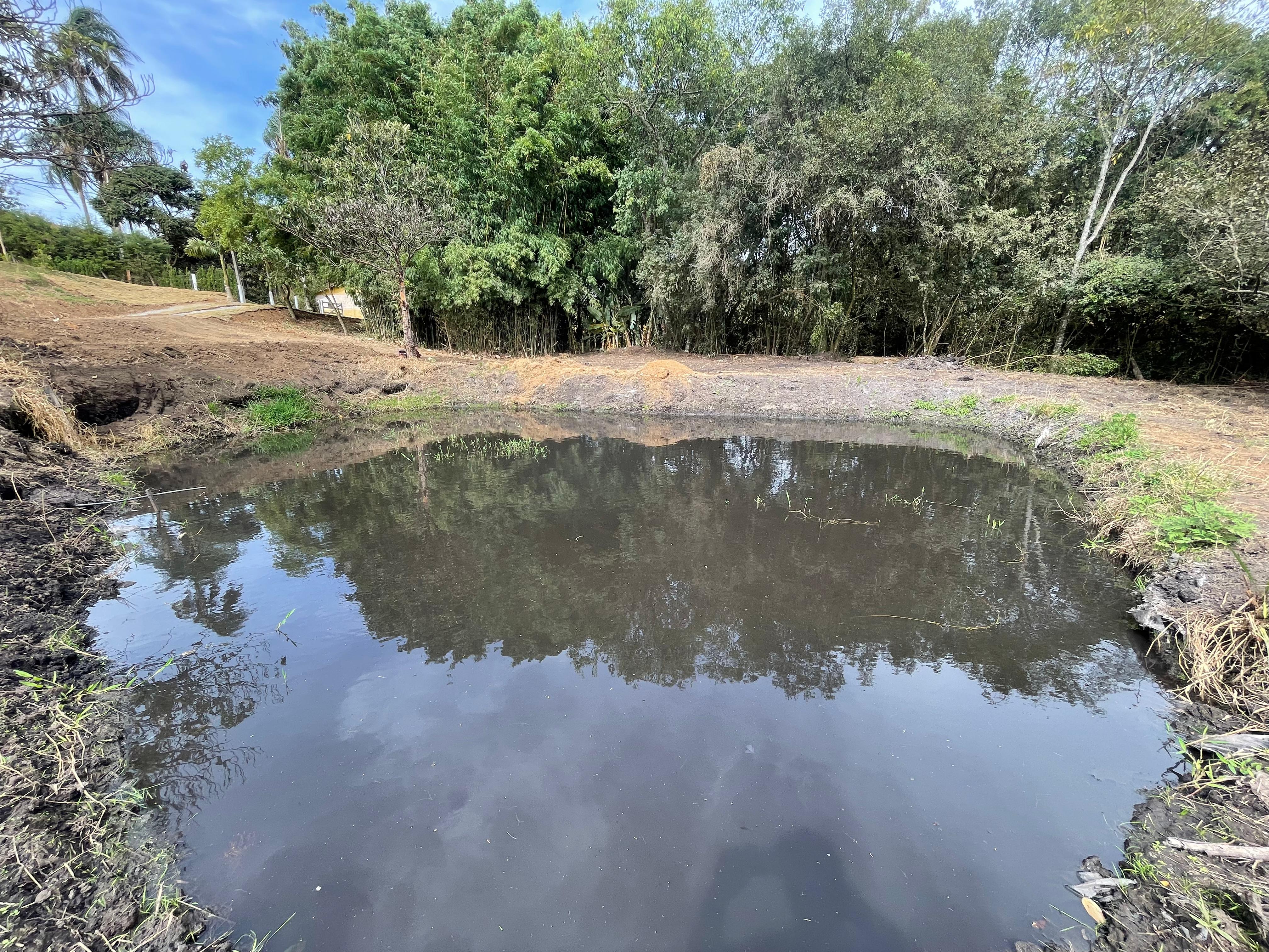 Chácara à venda em Pedra Bela com lago próprio, nascente, córrego e 3.200m² de terreno Cód 1239