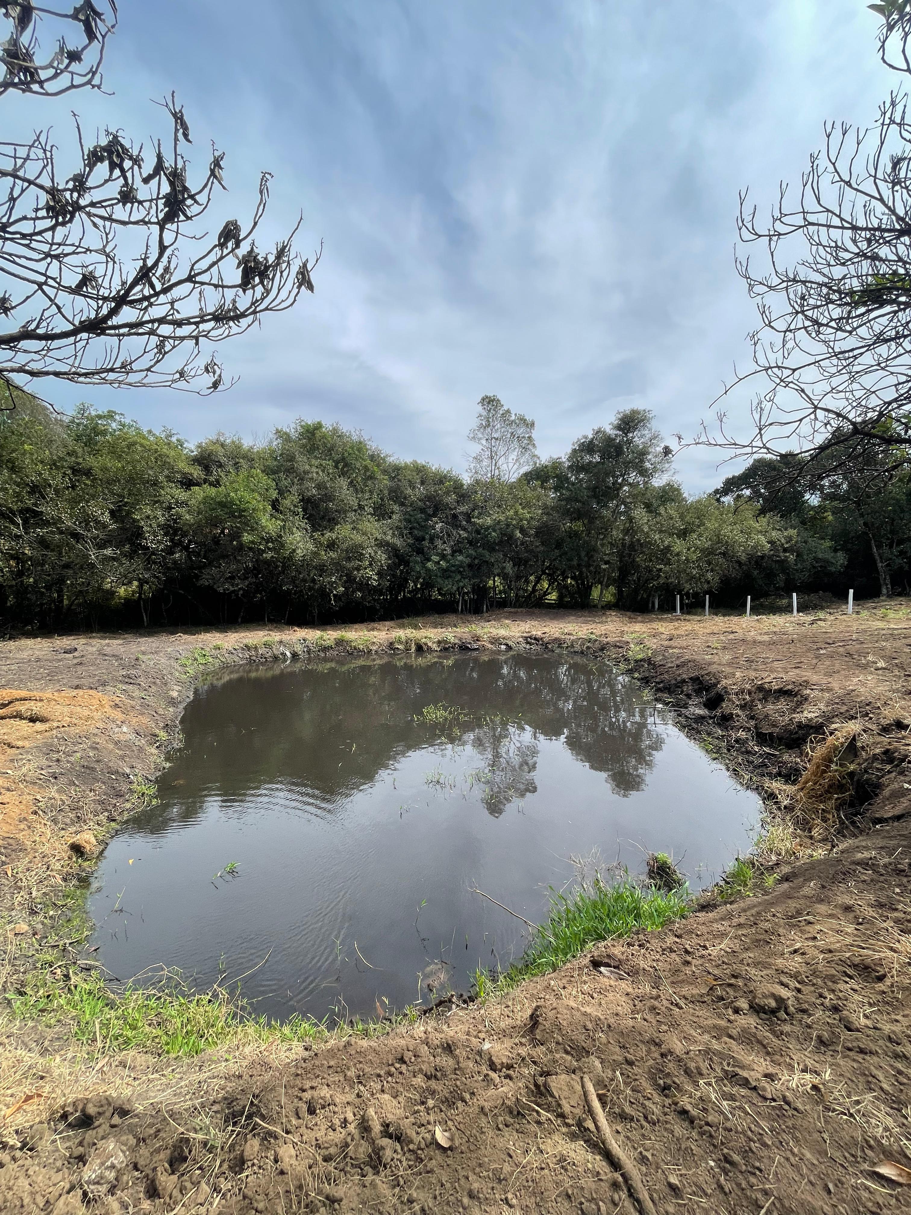 Chácara à venda em Pedra Bela com lago próprio, nascente, córrego e 3.200m² de terreno Cód 1239