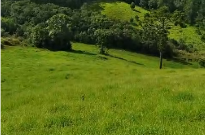 Sítio à venda entre Camanducaia e Monte Verde  cód.1241