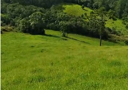 Sítio à venda entre Camanducaia e Monte Verde  cód.1241