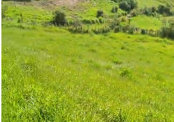 Sítio à venda entre Camanducaia e Monte Verde  cód.1241