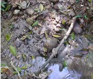 Sítio à venda entre Camanducaia e Monte Verde  cód.1241